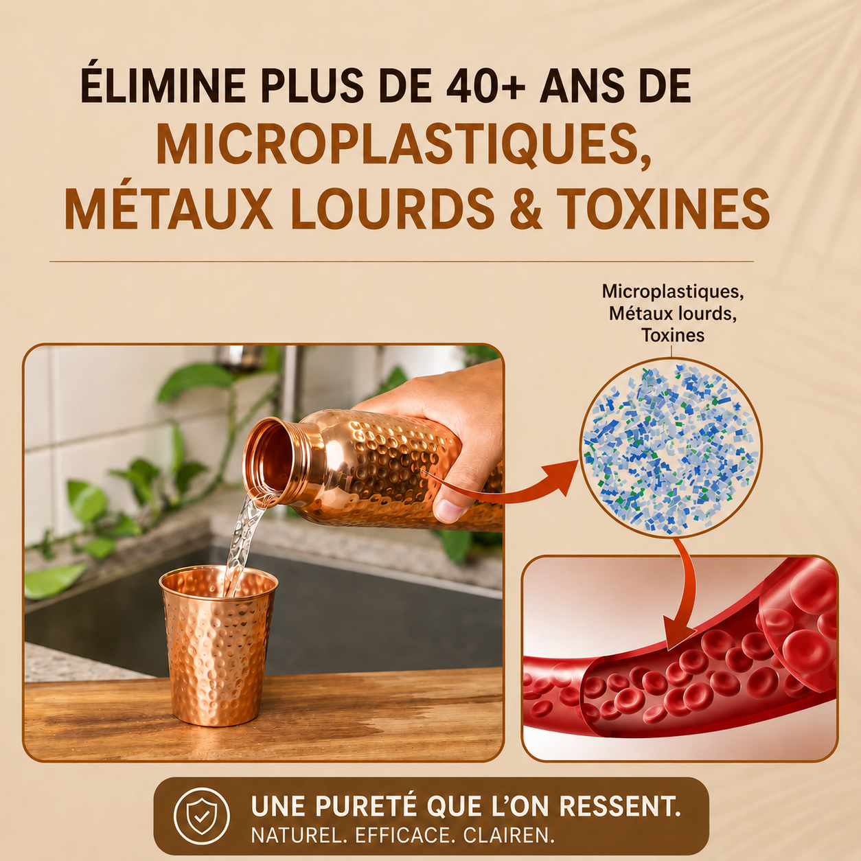 Élimine microplastiques métaux lourds et toxines