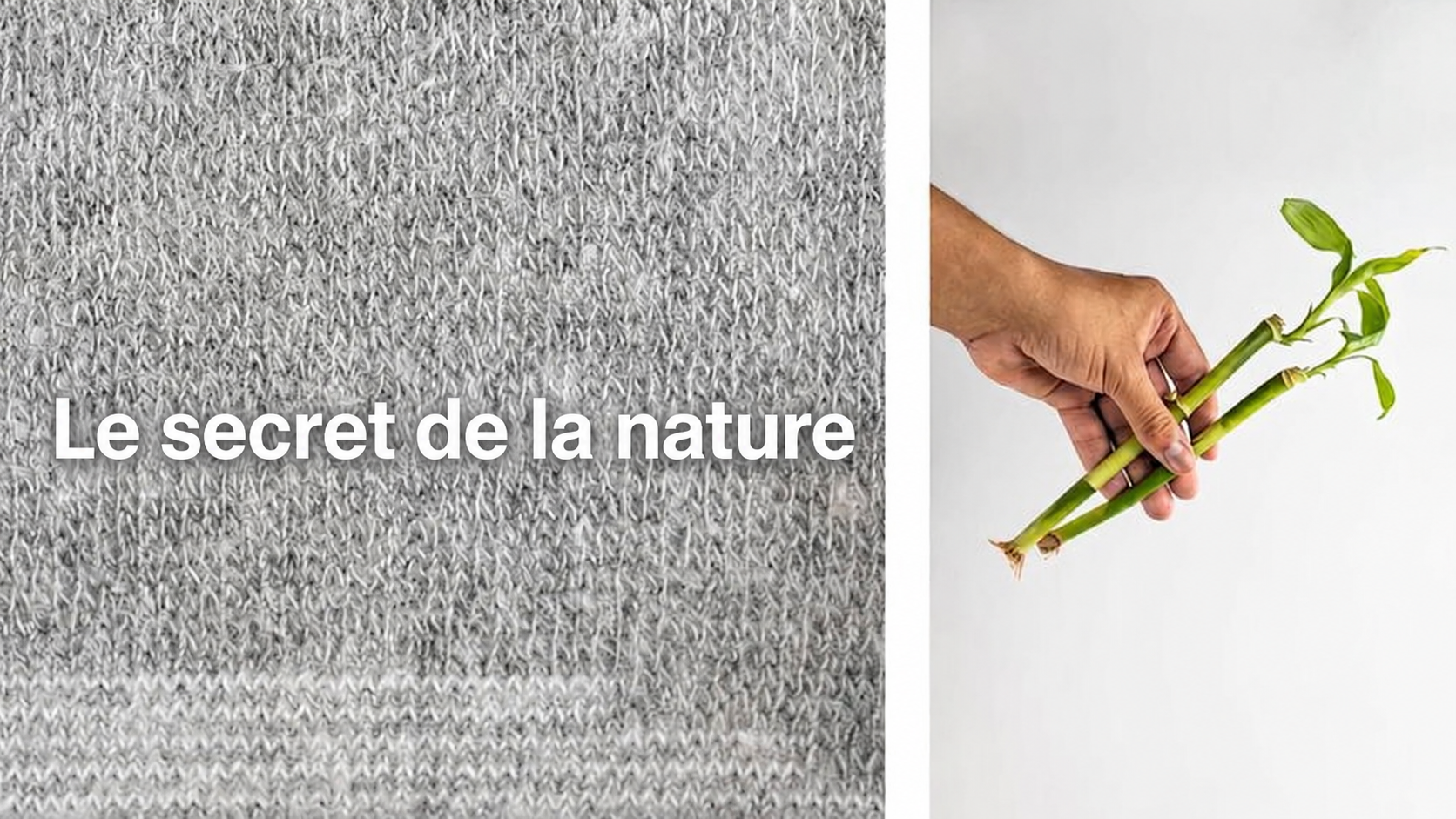 Texture douce inspirée par la nature